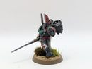 Warhammer Horus Heresy: Space Marines Dark Angels Legion Praetor - Well Painted (AD090)