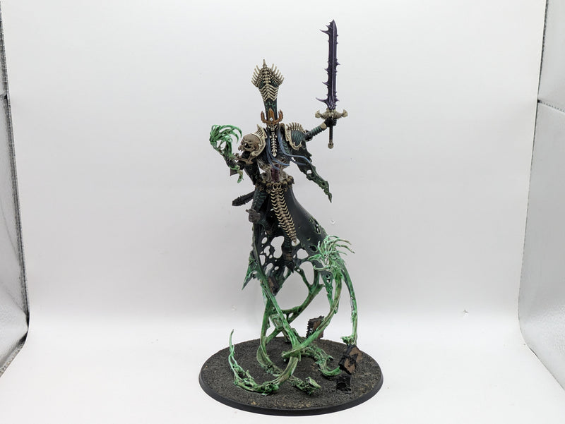 Warhammer Age of Sigmar: Nagash, Supreme Lord of the Undead - Well Painted (AU038)