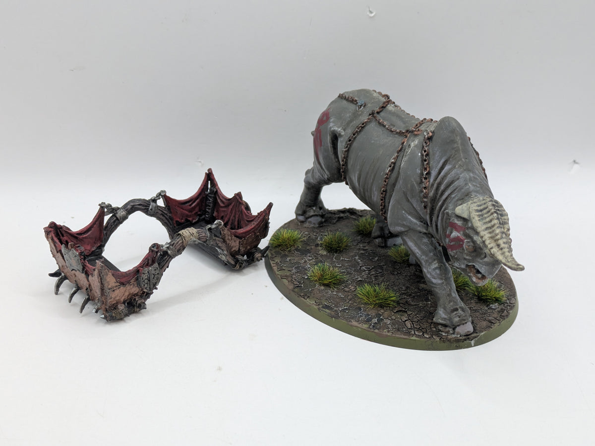 PXL_20250722_122542994_1200x.