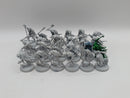 Warhammer Age of Sigmar: Nighthaunt Chainrasps Horde (BI151)