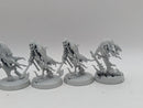 Warhammer Age of Sigmar: Nighthaunt Chainrasps Horde (BI151)
