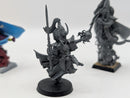 Warhammer The Old World High Elf Lormaster and Mages x2 BA022
