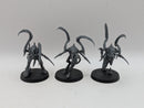 Warhammer 40k: Tyranids Von Ryan's Leapers (BI134)