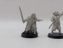 Warhammer Lord of the Rings Theoden and Gamling Heroes of Helms Deep AI152