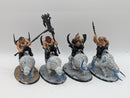 Warhammer Age of Sigmar: Ogor Mawtribes Mournfang Pack (AX089)