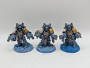 Warhammer 40k: Space Marines Space Wolves Aggressors - Wel Painted (BI053)