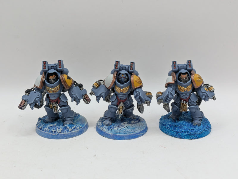 Warhammer 40k: Space Marines Space Wolves Aggressors - Wel Painted (BI053)