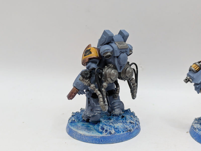 Warhammer 40k: Space Marines Space Wolves Aggressors - Wel Painted (BI053)