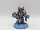 Warhammer 40k: Space Marines Space Wolves Aggressors - Wel Painted (BI053)