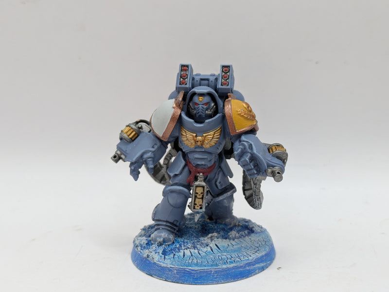 Warhammer 40k: Space Marines Space Wolves Aggressors - Wel Painted (BI053)
