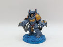 Warhammer 40k: Space Marines Space Wolves Aggressors - Wel Painted (BI053)