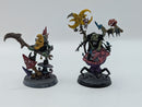Warhammer Age of Sigmar Gloomspite Gitz Loonboss and Shaman BI209