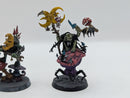 Warhammer Age of Sigmar Gloomspite Gitz Loonboss and Shaman BI209