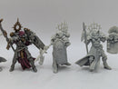 Warhammer 40k: Adepta Sororitas Celestian Sacresants (BJ043)