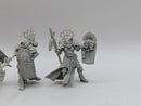 Warhammer 40k: Adepta Sororitas Celestian Sacresants (BJ043)