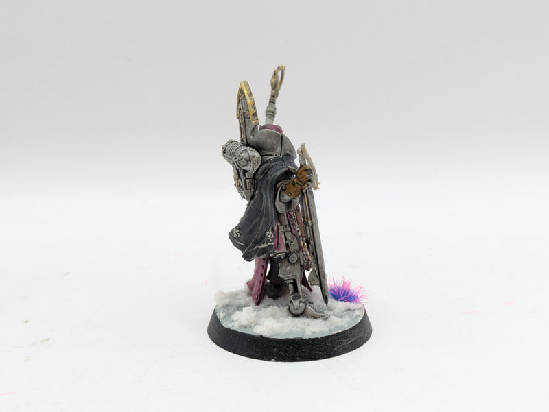 Warhammer 40k: Adepta Sororitas Canoness and Ministorum Priest (BJ031)
