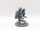 Warhammer 40k: Leagues of Votann Einhyr Champion - Pro Painted (BH007)