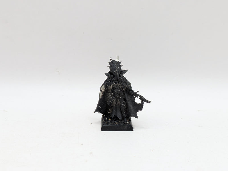Warhammer The Old World: Dark Elves Lokhir Fellheart - Missing Arm (AQ010)