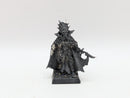 Warhammer The Old World: Dark Elves Lokhir Fellheart - Missing Arm (AQ010)
