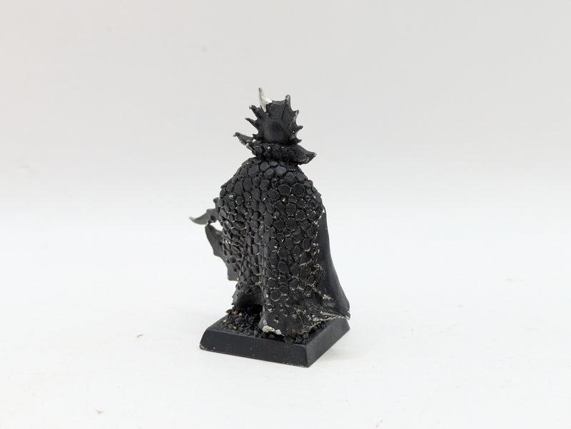 Warhammer The Old World: Dark Elves Lokhir Fellheart - Missing Arm (AQ010)