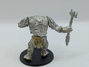 Warhammer Lord of the Rings Troll - Missing head BI009
