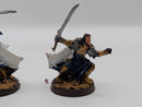 Warhammer Lord of the Rings Elladan and Elrihir - Metal AD028