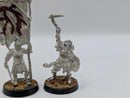 Warhammer Lord of the Rings Mordor Orc Banner and Captain BI177