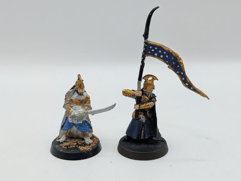 Warhammer Lord of the Rings High Elf Captain and Banner BC017