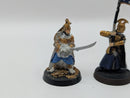 Warhammer Lord of the Rings High Elf Captain and Banner BC017
