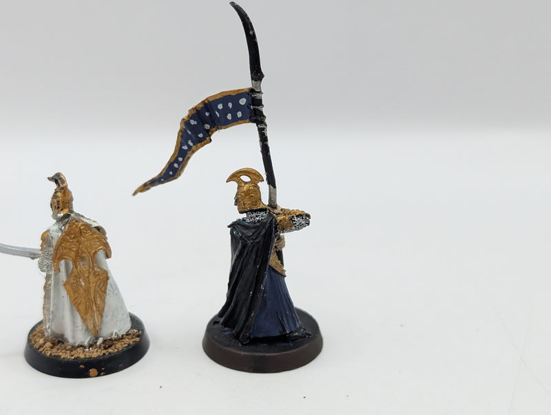Warhammer Lord of the Rings High Elf Captain and Banner BC017