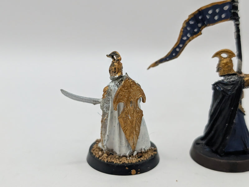 Warhammer Lord of the Rings High Elf Captain and Banner BC017