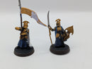 Warhammer Lord of the Rings High Elf Captain and Banner BJ035
