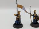 Warhammer Lord of the Rings High Elf Captain and Banner BJ035