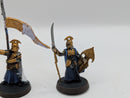 Warhammer Lord of the Rings High Elf Captain and Banner BJ035