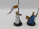 Warhammer Lord of the Rings High Elf Captain and Banner BJ035