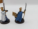 Warhammer Lord of the Rings High Elf Captain and Banner BJ035