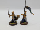 Warhammer Lord of the Rings High Elf Captain and Banner BJ009