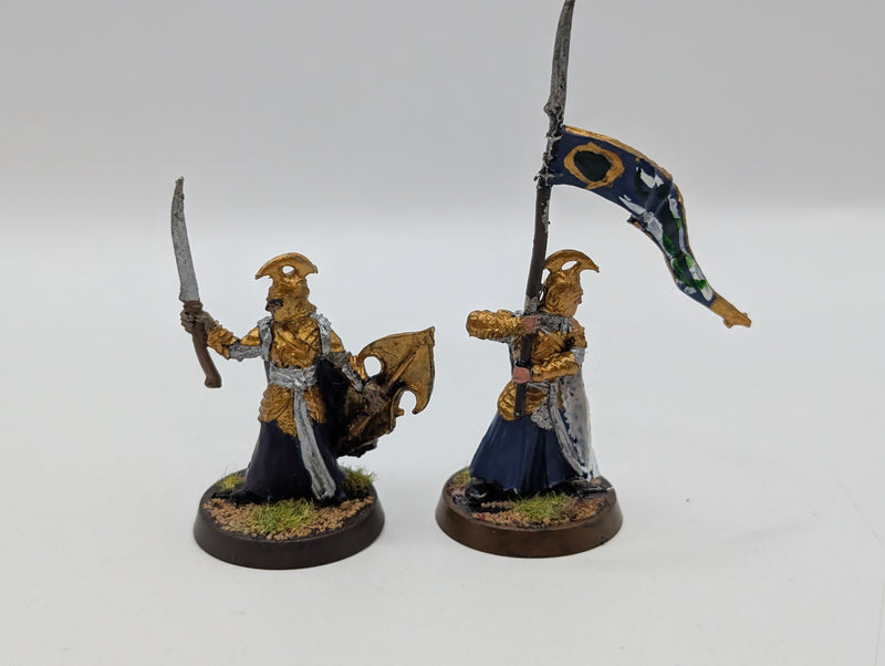Warhammer Lord of the Rings High Elf Captain and Banner BJ009