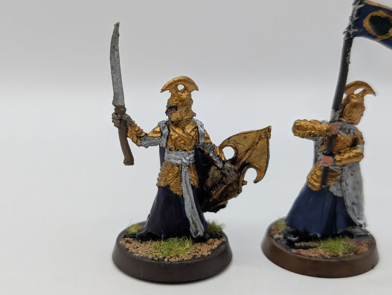 Warhammer Lord of the Rings High Elf Captain and Banner BJ009