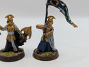 Warhammer Lord of the Rings High Elf Captain and Banner BJ009