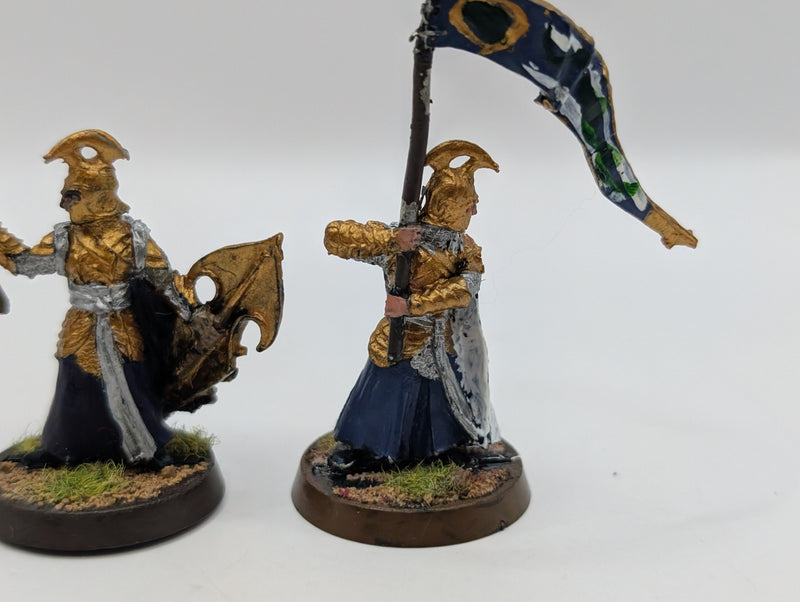 Warhammer Lord of the Rings High Elf Captain and Banner BJ009