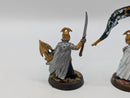Warhammer Lord of the Rings High Elf Captain and Banner BJ009