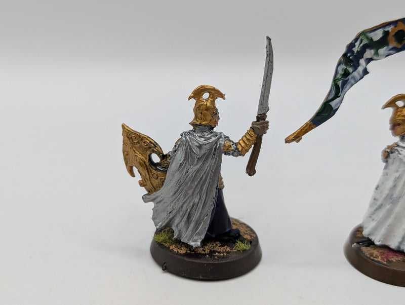 Warhammer Lord of the Rings High Elf Captain and Banner BJ009