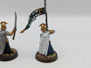 Warhammer Lord of the Rings High Elf Captain and Banner BJ009