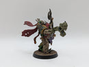 Warhammer 40k: Death Guard Malignant Plaguecaster - Well Painted (AI175)