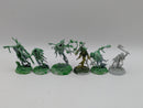 Warhammer Age of Sigmar: Nighthaunt Thorns of the Briar Queen (BH148)