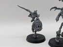 Warhammer Age of Sigmar: Gloomspite Gitz Squig Hoppers (AW081)