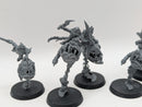 Warhammer Age of Sigmar: Gloomspite Gitz Squig Hoppers (AW081)