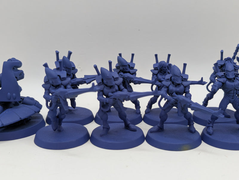 Warhammer 40k: Aeldari Eldar Guardians and Farseer (BI215)