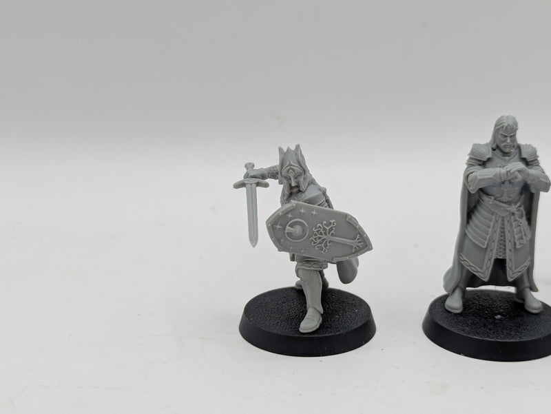 Warhammer Lord of the Rings: Gondor Wardens of Gondor - Missing Sword (AI044)